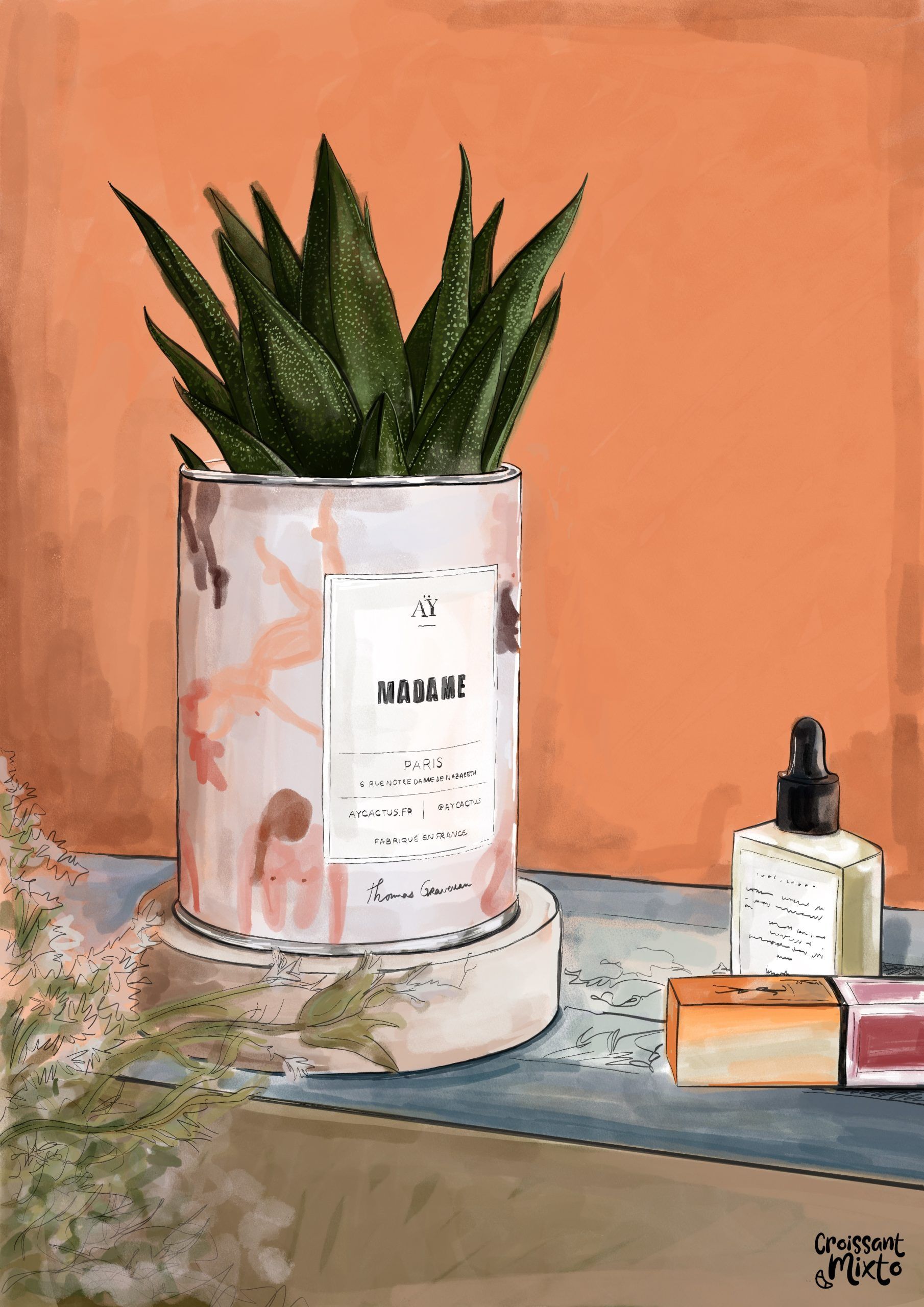 ilustracion-digital-bodegon-cactus-croissant-mixto