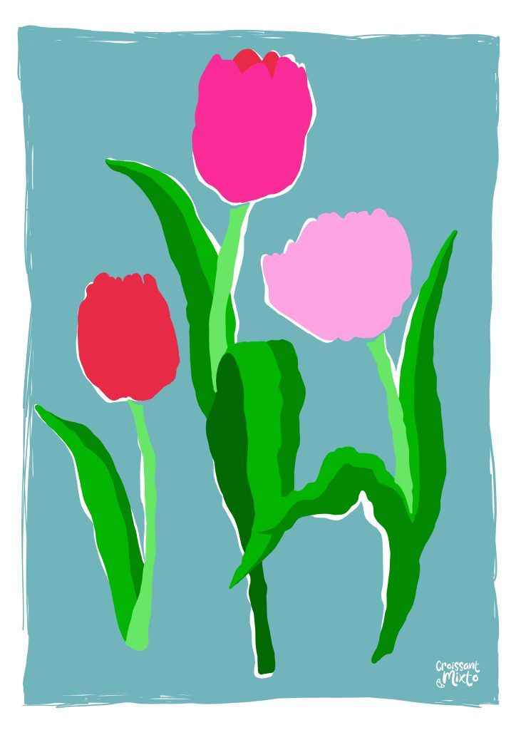 ilustracion-digital-flores-tulipanes2-croissant-mixto