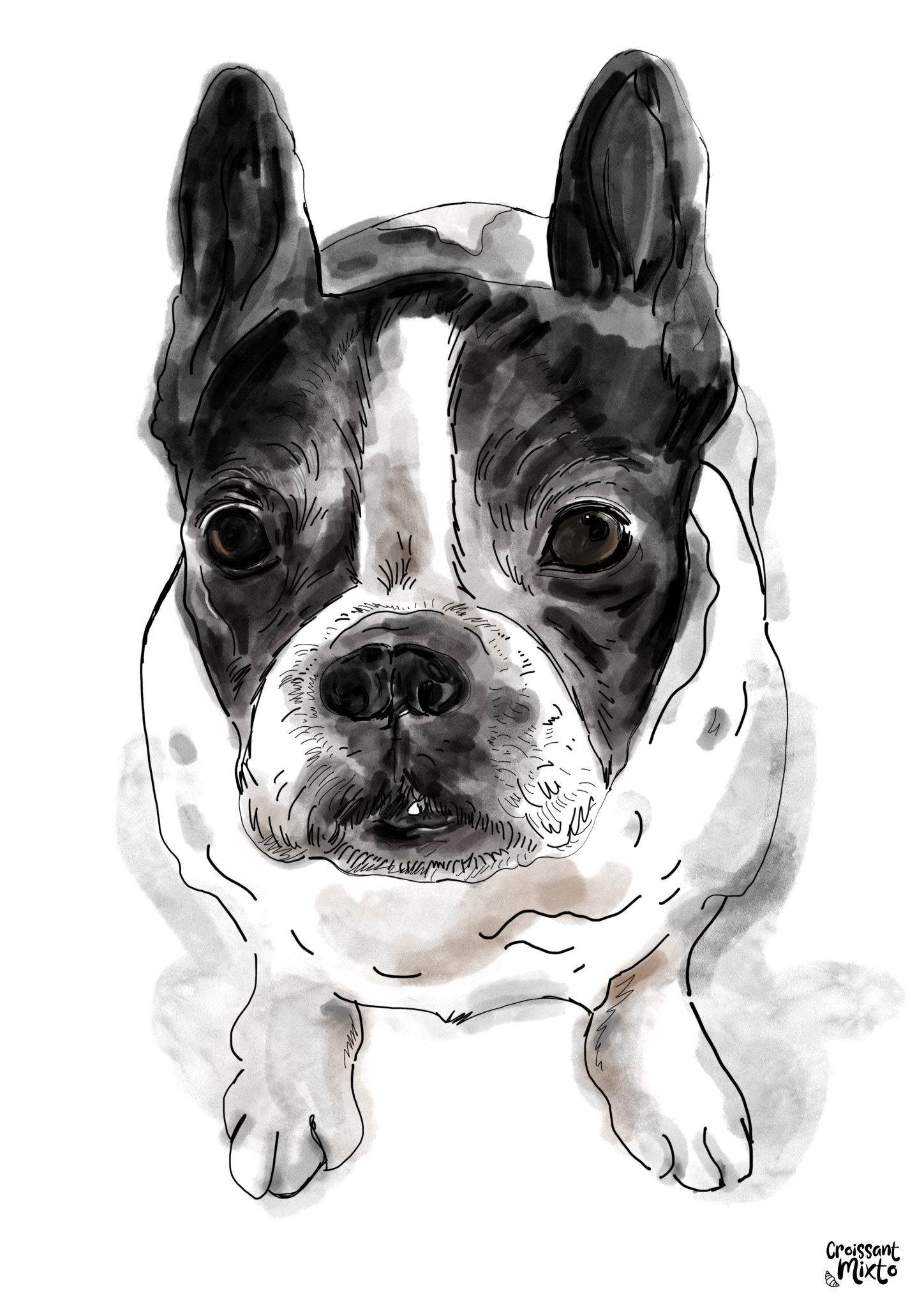 ilustracion-digital-perro-pepita-croissant-mixto