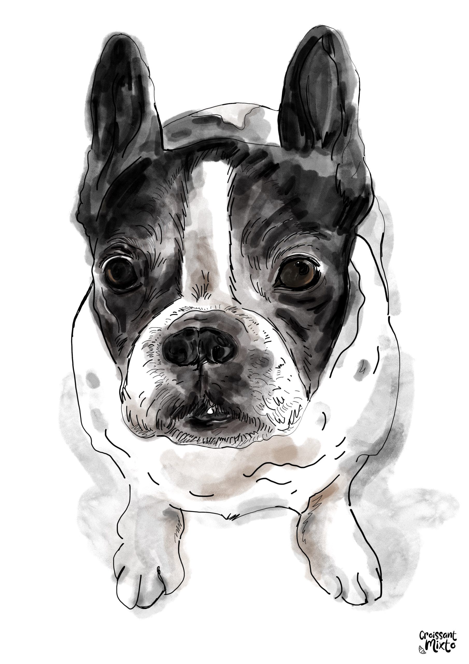 ilustracion-digital-perro-pepita-croissant-mixto